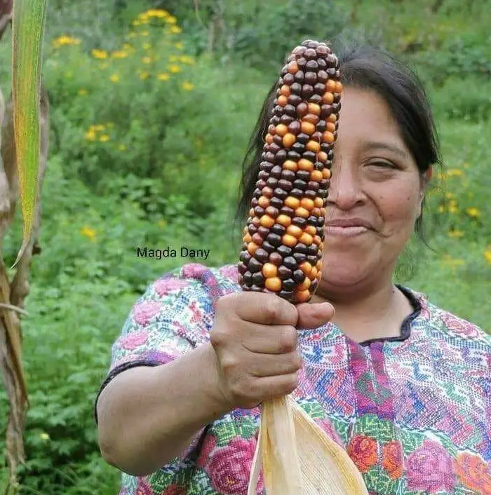  Foto: Magda Floridalma Pedro Mateo. 